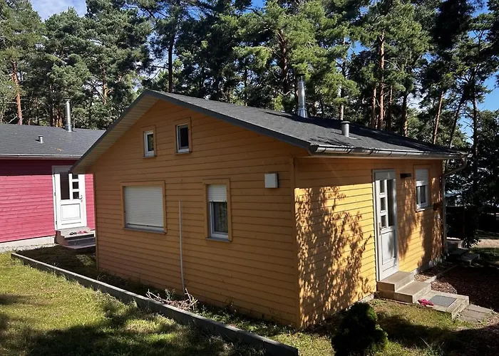 Friedland Schwielochsee